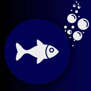 Phish Finder Fundamentals